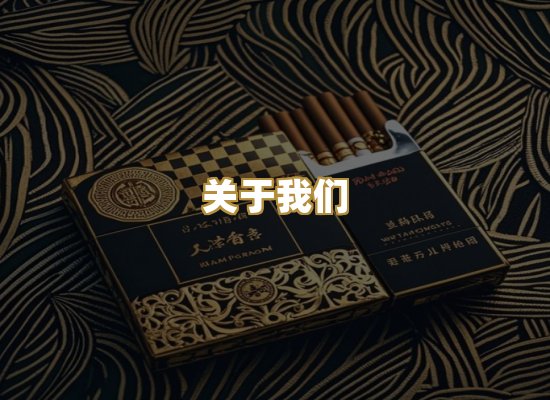 关于我们