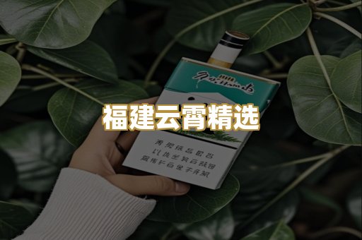福建云霄精选